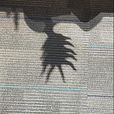 吾吾吾吾花的头像