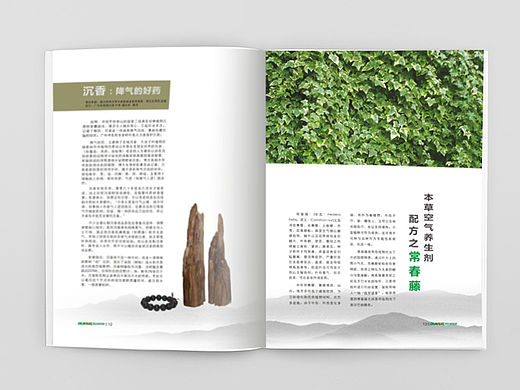 本草空气养生专刊