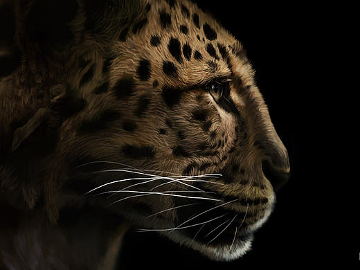 曼视觉去年手绘学习作业整理