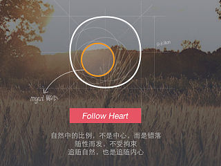 追随