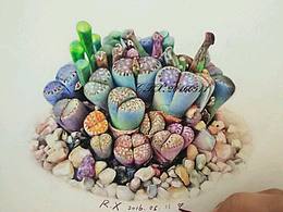 花卉