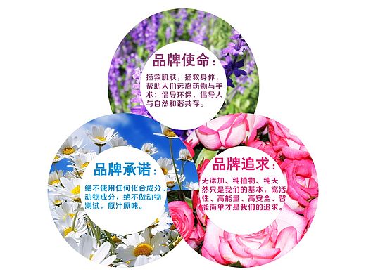 新型智能养生之文化长廊