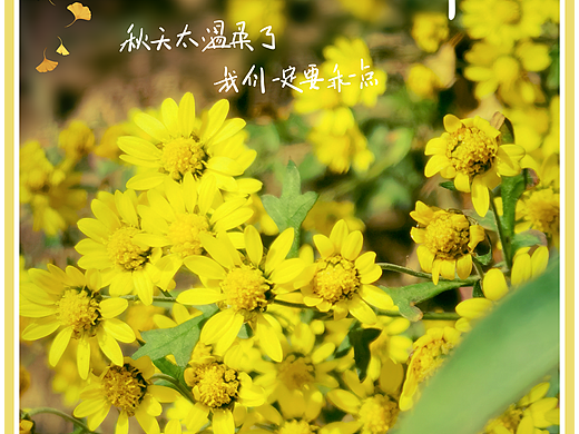 秋