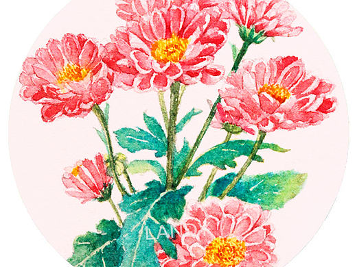 原创水彩雏菊（个人主页-ZMjEwMTk1NTI=） - 商业插画 - 站酷设计师Landy荌原创素材 - 站酷ZCOOL
