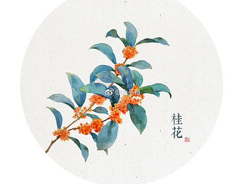 水彩花卉 手绘