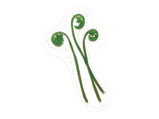 吉林旅游产品-《丛生》吉林山菜