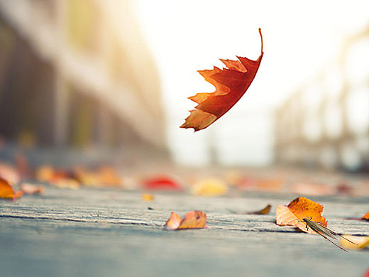 手機(jī)背景圖制作（個(gè)人主頁(yè)-ZMTQ5MDM5ODA=） - 主題/皮膚 - 站酷設(shè)計(jì)師COCO_ZLL原創(chuàng)素材 - 站酷ZCOOL