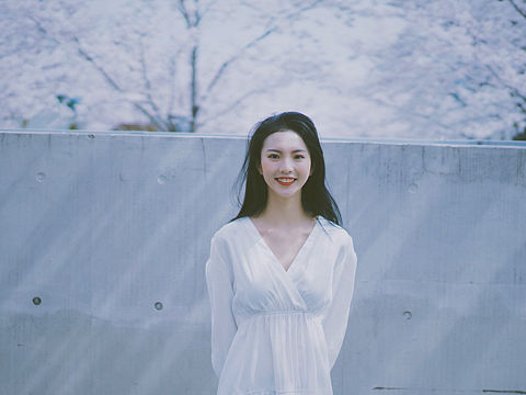 龙美樱花