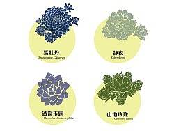多肉植物图案纹样设计