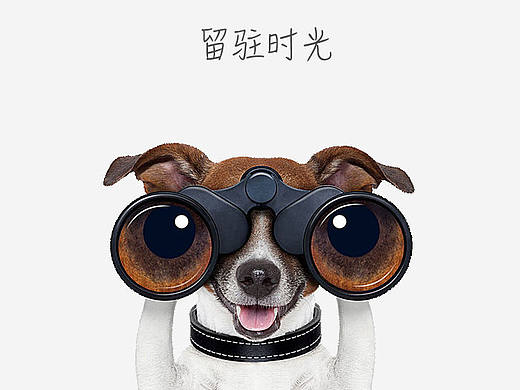 关于宠物饮食的一套APP设计
