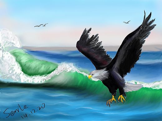 海浪与鹰