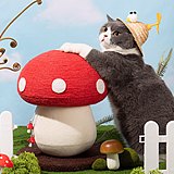 小猫仙倌的头像
