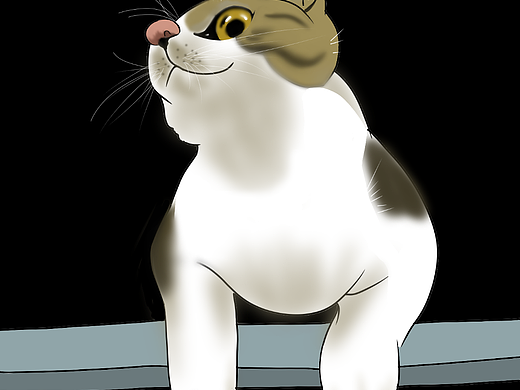 猫咪日常篇3