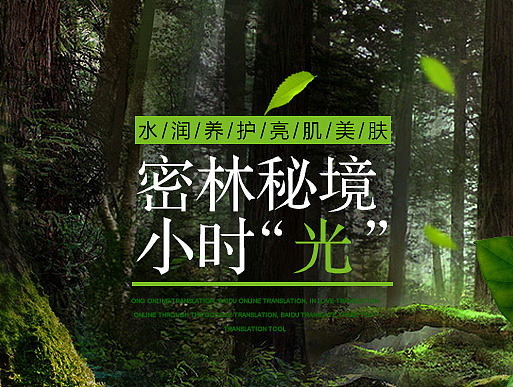 密林秘境小时光