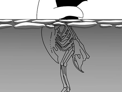 气候变暖
