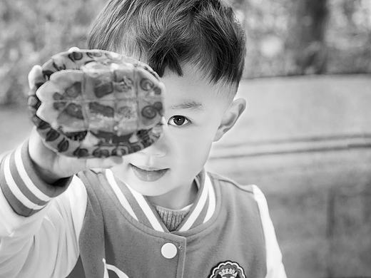 玩龟公的小正太