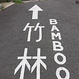 竹一竹的头像