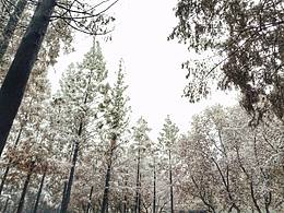 任性的，南方艷陽天