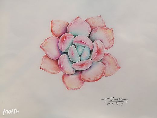 彩铅绘生活