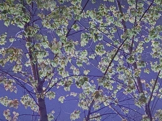 湖美（个人主页-ZNTE4MDU1MzY=） - 风光摄影 - 站酷设计师PeachYOM原创素材 - 站酷ZCOOL