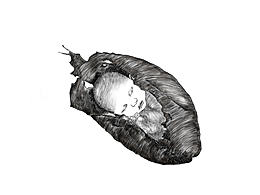 超现实黑白插画