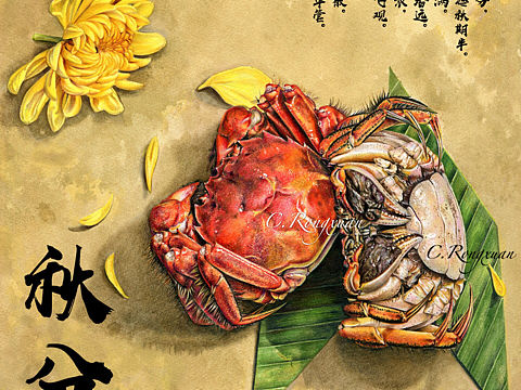 【溶萱手绘】秋分节气蟹肥菊黄