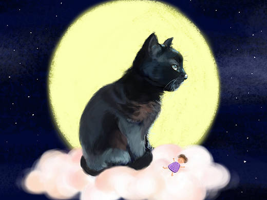 插画——猫