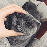 fu21的头像