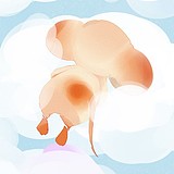 橘子海星的头像
