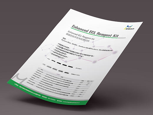 生物制药公司单页画册