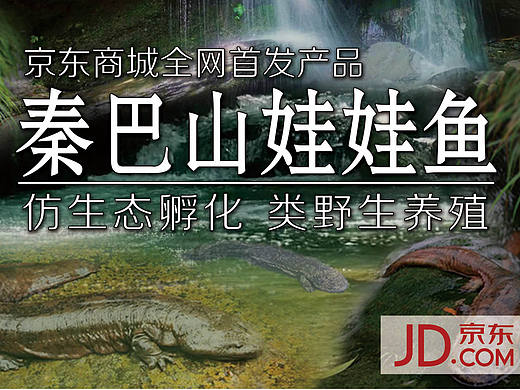 宣传单页 三折页