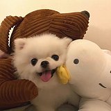 Yuianl的头像