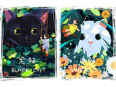 黑猫白猫