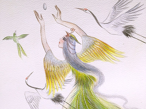 水彩插画(凤仙)