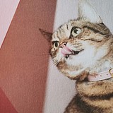 anniewon的头像