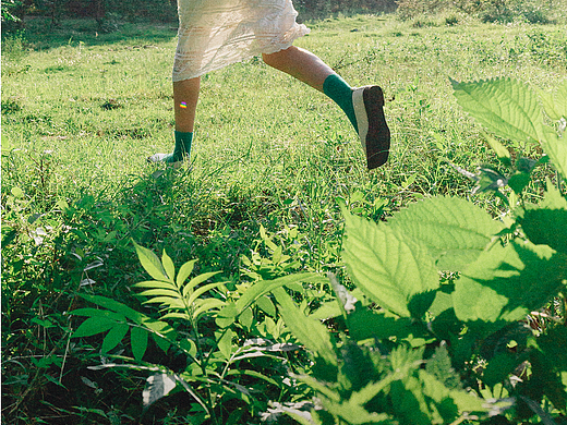 夏花