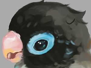 呆萌的小鹦鹉*临摹