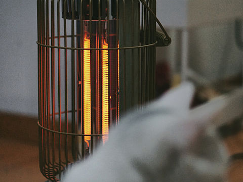 咕咕东✕星钻取暖器丨取暖的猫咪