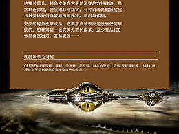 皮质卡片