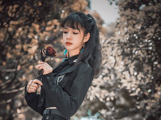 带刺的黑玫瑰