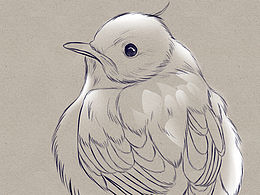 Day11