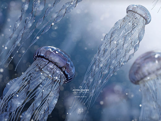 5-6月c4d