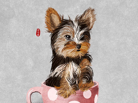 插画练习-萌宠系列