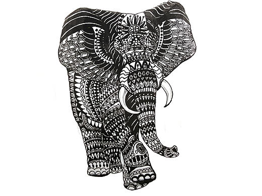 包罗万“象” 象 象 象