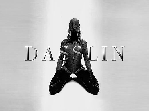 DASSLIN 彩妆系列方案（黑武士）