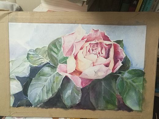 水彩玫瑰,写照片之九