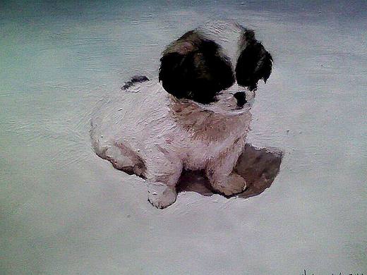 水粉画《小狗》