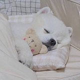 范波波_BoBo的头像