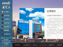 企業(yè)網(wǎng)站