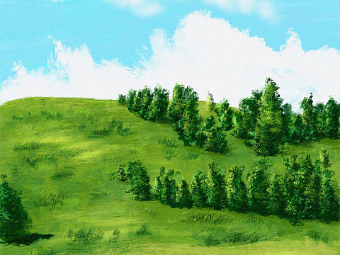 2021年插画练习合集